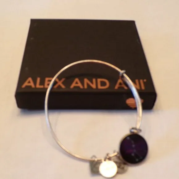Alex and Ani Jewelry 26 Alex Ani Silver Tone Big Dipper